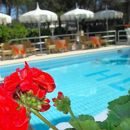 Hotel Luisa